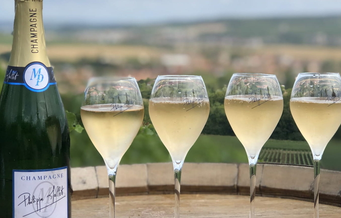 Visita de los viñedos en 4x4 y degustación de Champagne de la finca 30,00 €