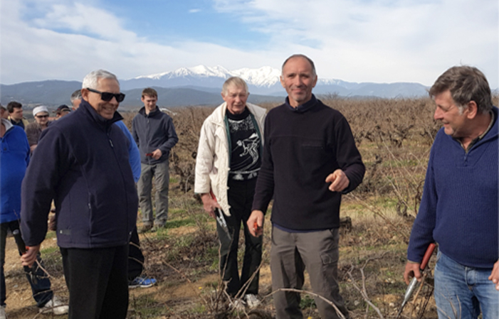 Visita de bodegas de barricas - Vignobles Terrassous 2,00 €