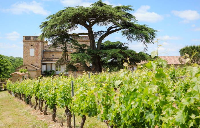 Visita y degustación en el Château de Terride 5,00 €