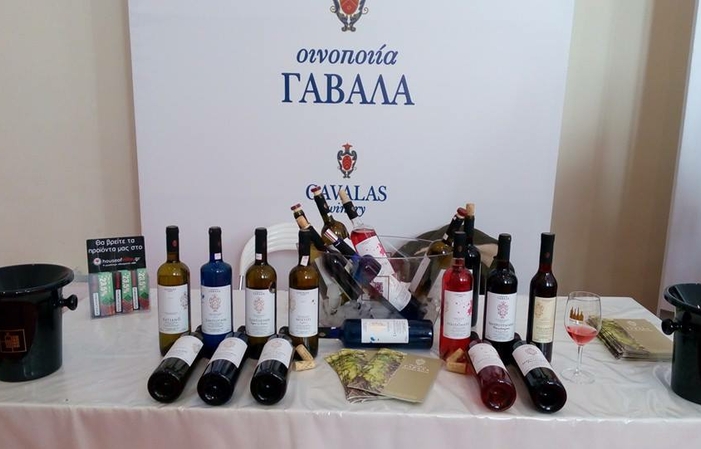 Visite Gavalas Winery: dégustation 13,00 €