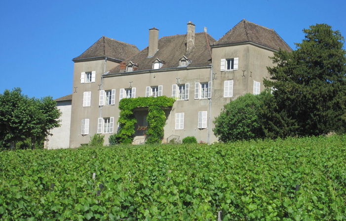 Visite du Musée de la Vigne et du Vin 11,00 €