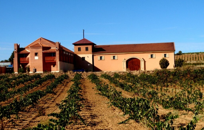 Visite et dégustation à la bodega Pagos de Quintanas - Winebnb