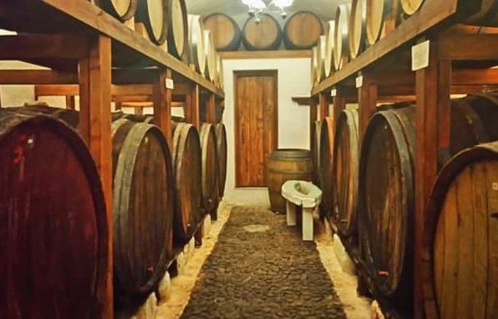 Visit Gavalas Winery: tasting €13.00