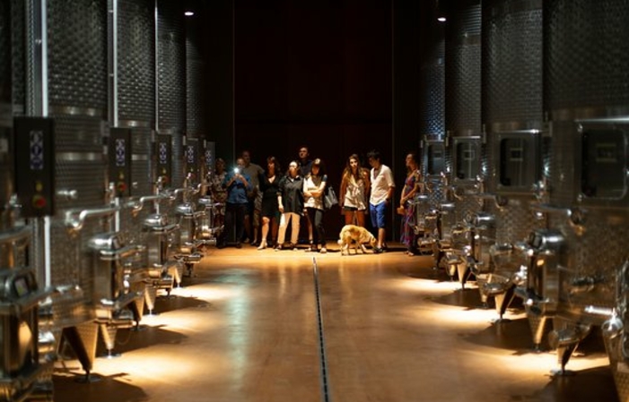 TASTING IN THE WINERY at Filodivino €30.00